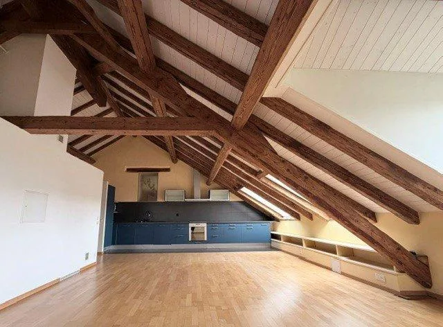 Magnifique loft de 3.5 pièces avec cheminée et grands espaces