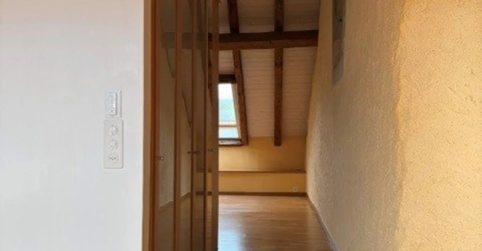 Magnifique loft de 3.5 pièces avec cheminée et grands espaces