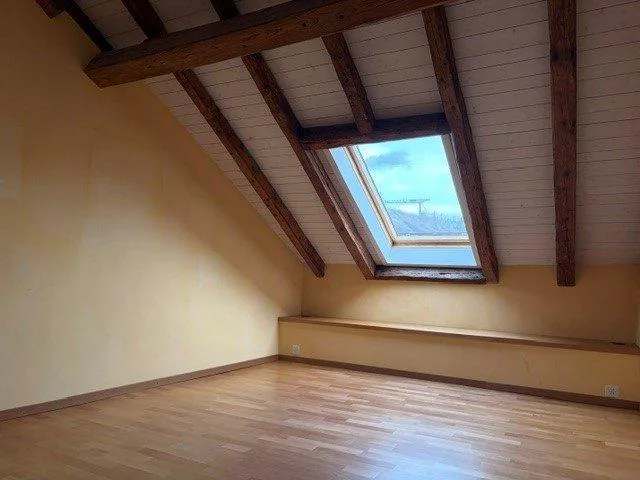 Magnifique loft de 3.5 pièces avec cheminée et grands espaces