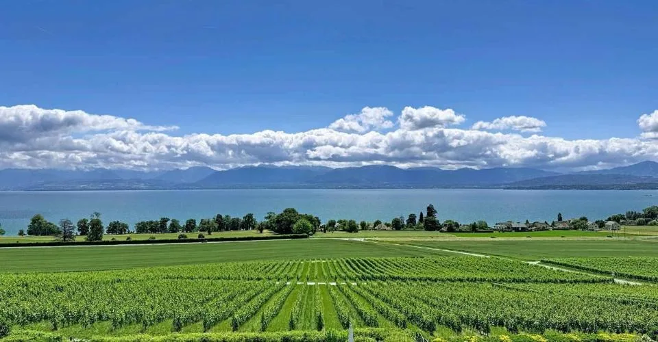 Bien de prestige à Bursinel - Vue imprenable sur le lac et les Alpes