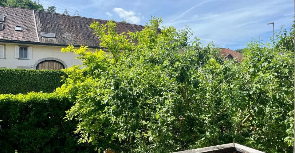 Bel appartement de 4.5 pièces au 1er étage avec un balcon