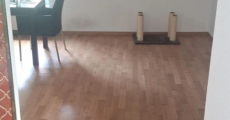 appartement 1.5p