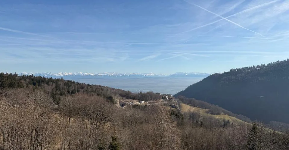 Magnifique 3.5 pièces en duplex