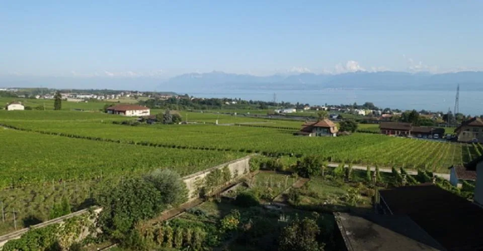Appartement de 3.5 pièces lumineux avec vue sur le lac