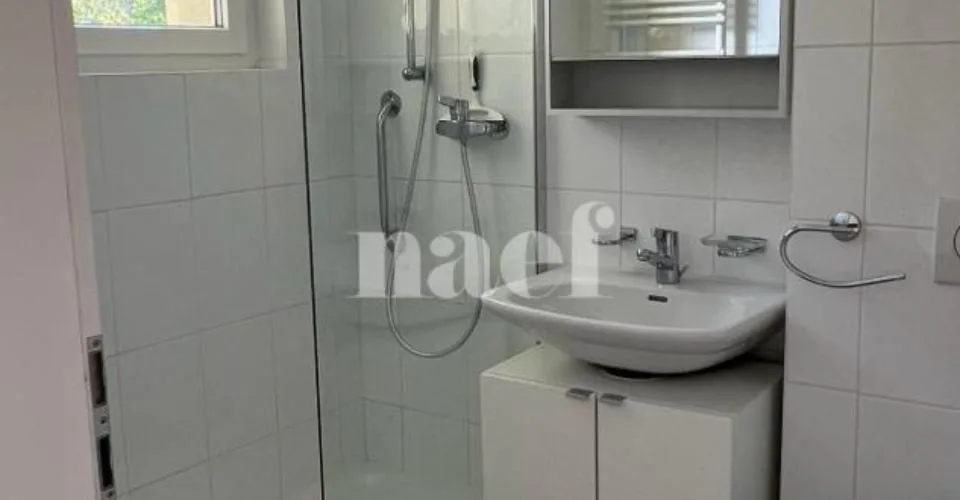 Bel appartement de 3 pièces au 2ème étage avec grand balcon