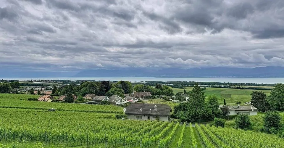 Bel appartement de 3,5 pièces, dans un environnement d'exception – Foto 11 von 11