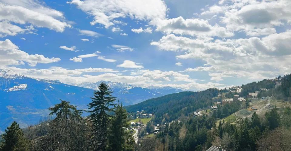 Magnifique 2.5 pièces rénové - Spacieux et lumineux - Lieu très calme - Super vue - Bien situé