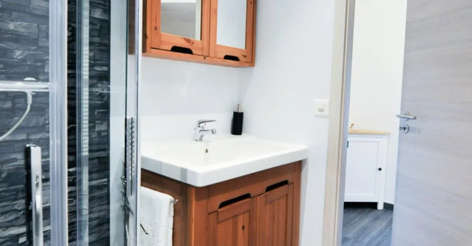A louer 3,5 pc meublé à Vex
