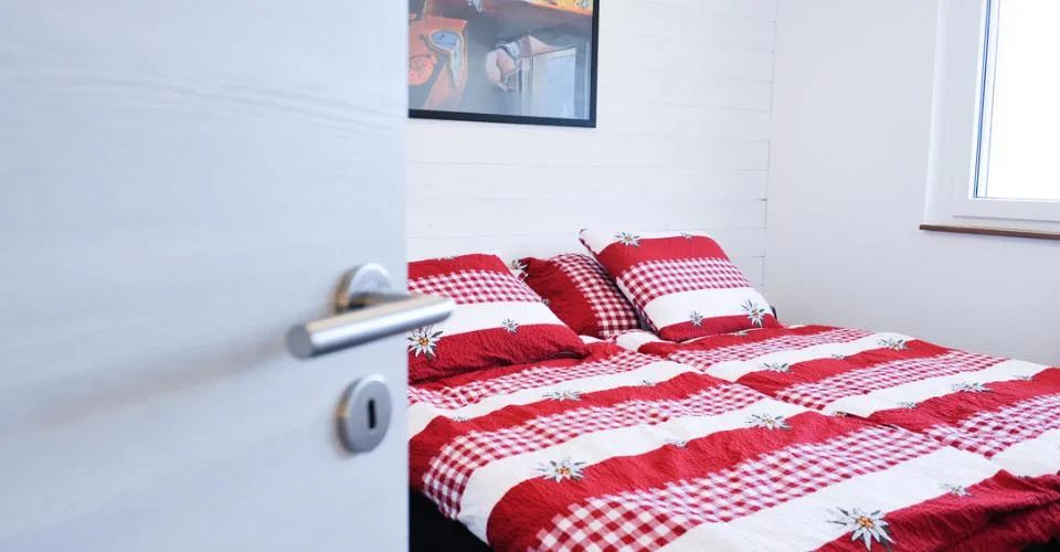 A louer 3,5 pc meublé à Vex