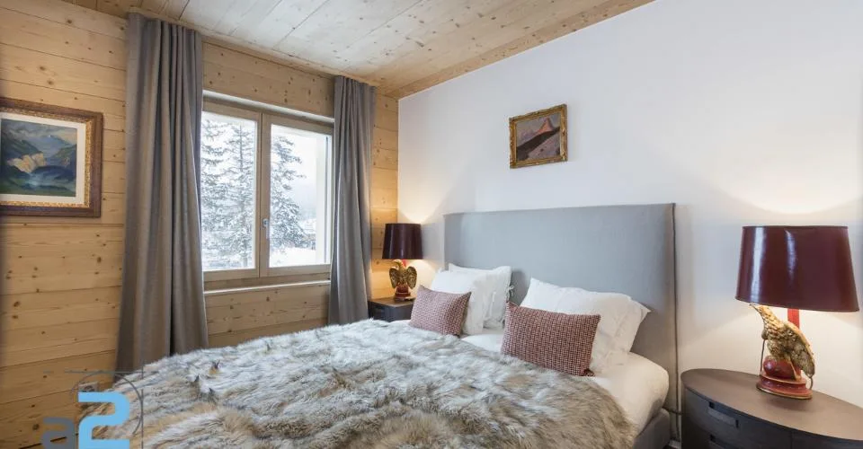 LUXURY SKI APPARTEMENT- COUPE DU MONDE 2027 SKI – photo 9 of 13