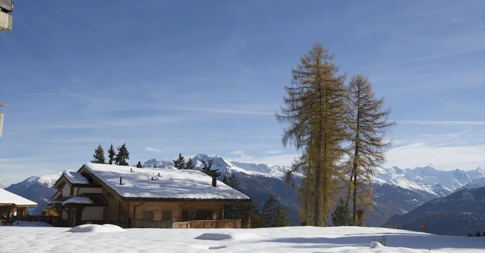 La Désalpe 101 - Location semaine