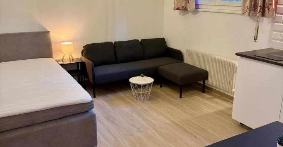 Charmant petit studio rénové - A L'ANNEE