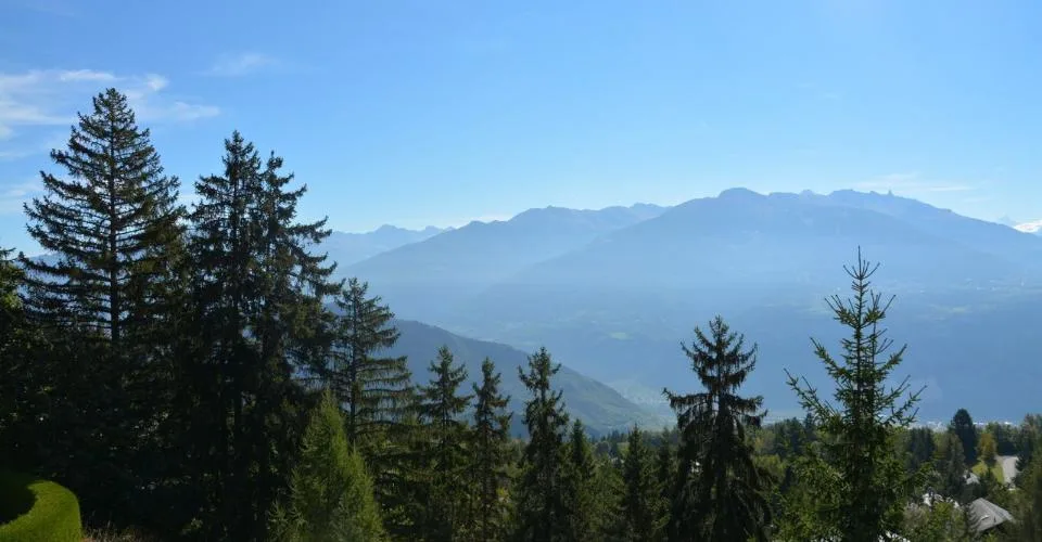 Locations de vacances: Chalet Ursi – Foto 3 von 13