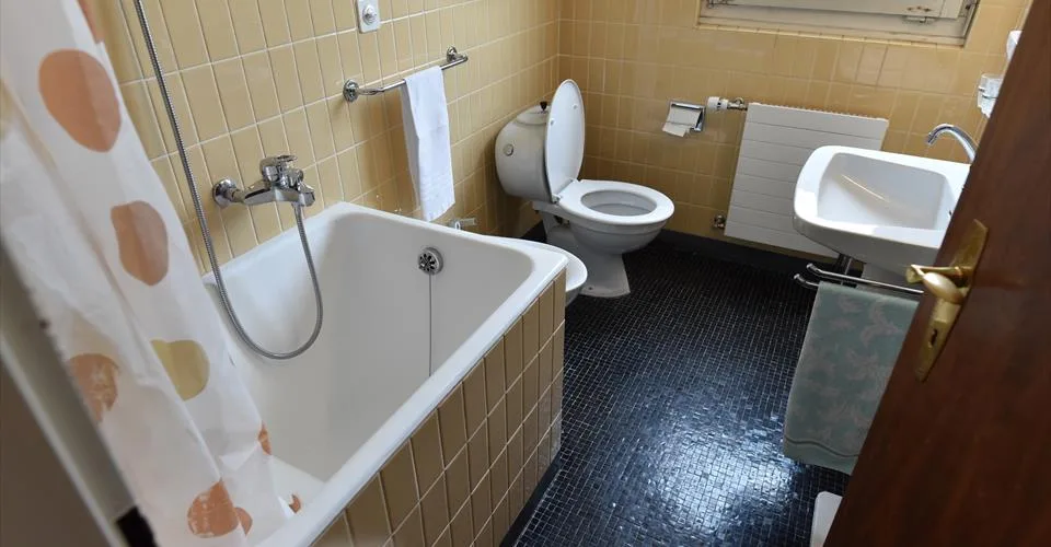 Appartement 5.5 pièces à louer