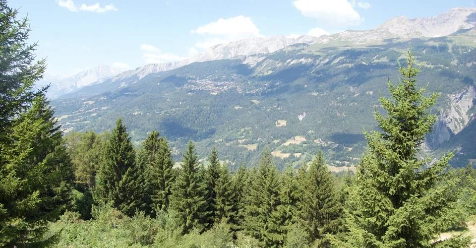 Chalet 7.5 pièces à louer
