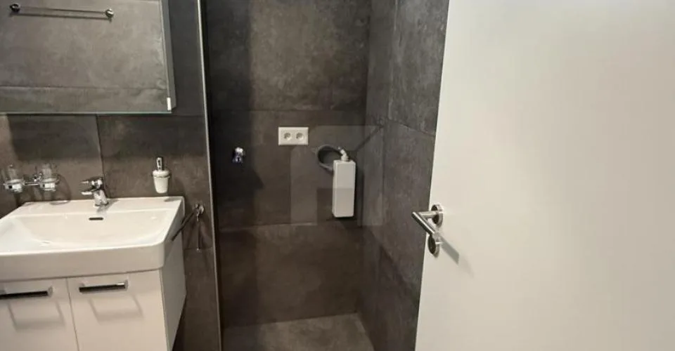 Appartement 3.5 pcs à louer à Savièse