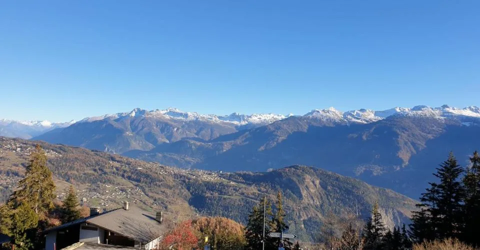 Locations de vacances: Appartement saphir 310 – Foto 5 von 13