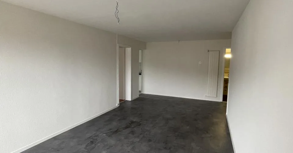 Bel appartements de 3pces rénové avec balcon et vue