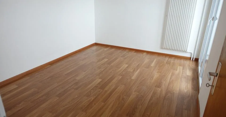 Bel appartements de 3pces rénové avec balcon et vue
