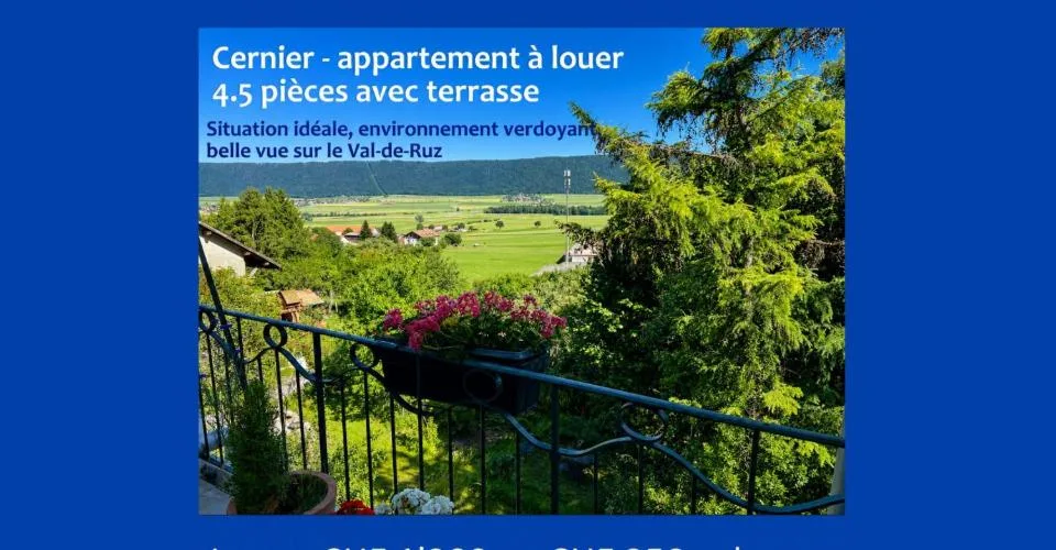 Charmant appartemet rénové avec terrasse au coeur de Cernier
