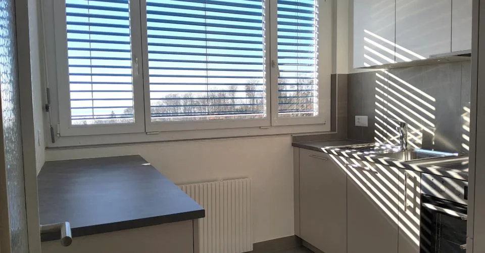 Appartement 3.5 pièces en rénovation - Vue sur le lac et les Alpes