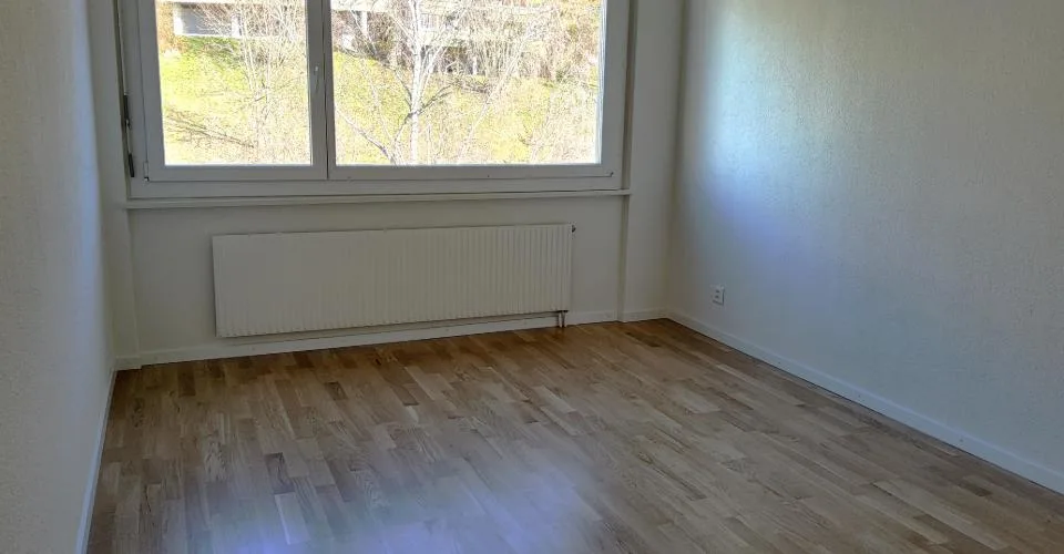 Appartement 3.5 pièces en rénovation - Vue sur le lac et les Alpes