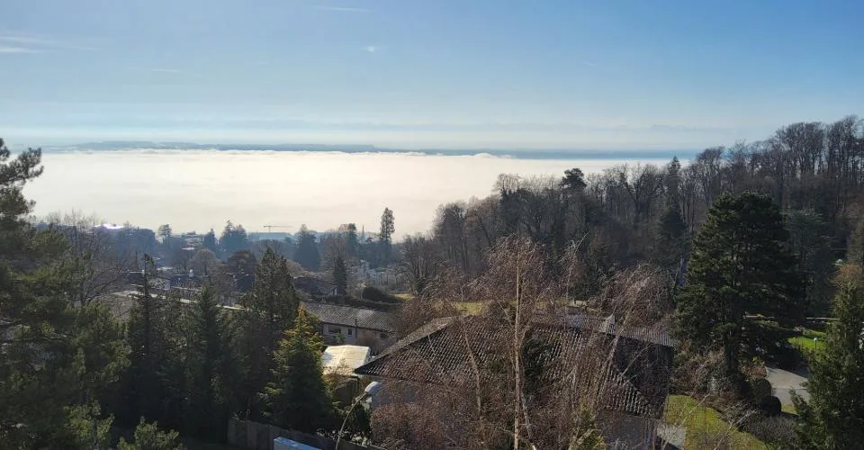 Appartement 3.5 pièces en rénovation - Vue sur le lac et les Alpes