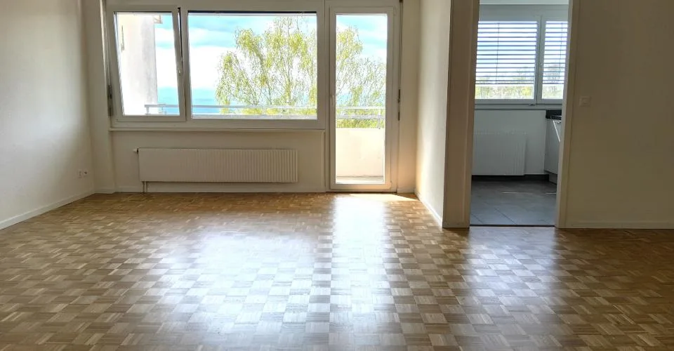 Appartement 3 pièces rénové - Vue sur le lac et les Alpes