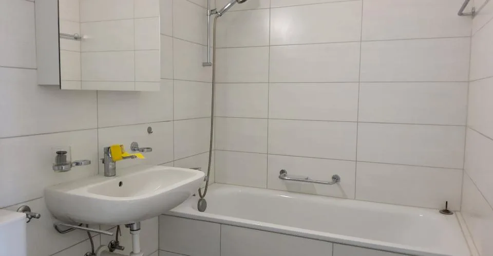 Appartement 3 pièces rénové - Vue sur le lac et les Alpes