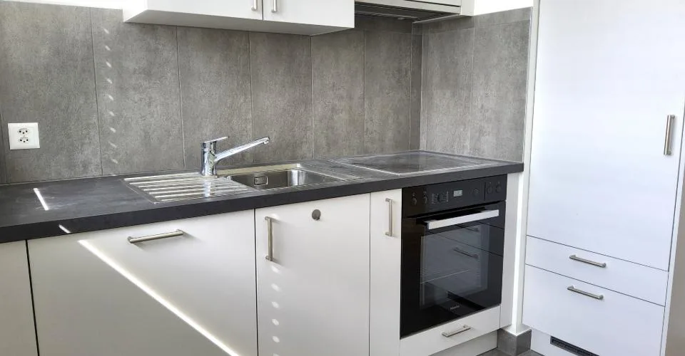 Appartement 3 pièces rénové - Vue sur le lac et les Alpes