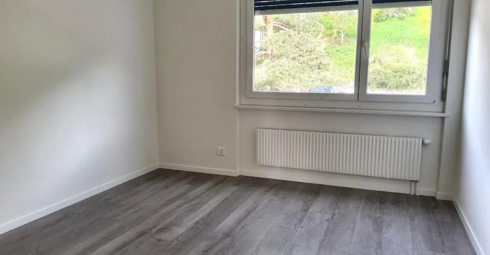 Appartement 3 pièces rénové - Vue sur le lac et les Alpes