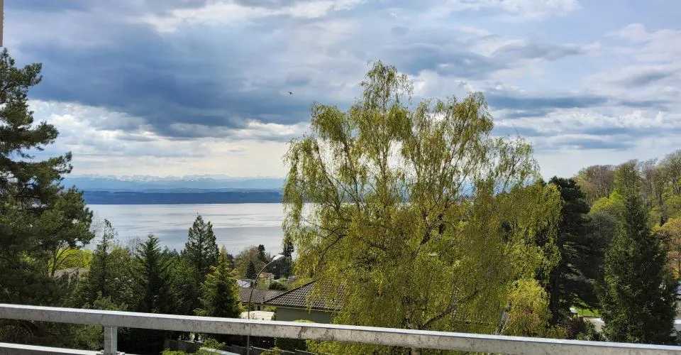 Appartement 3 pièces rénové - Vue sur le lac et les Alpes