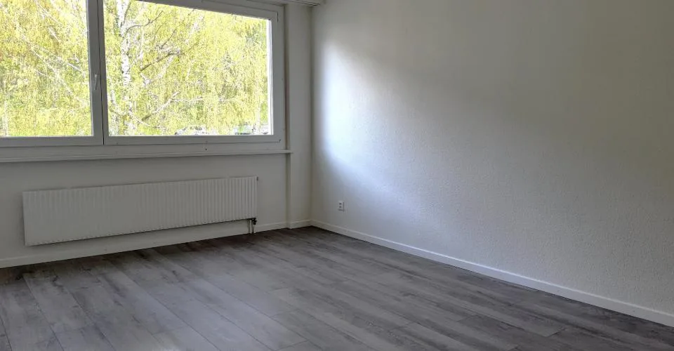 Appartement 3 pièces rénové - Vue sur le lac et les Alpes