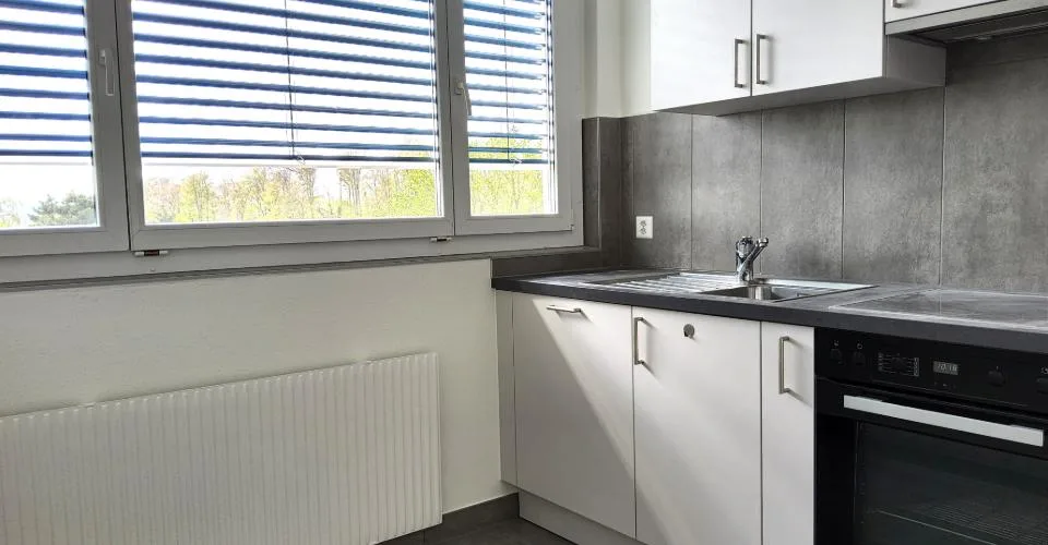 Appartement 3 pièces rénové - Vue sur le lac et les Alpes