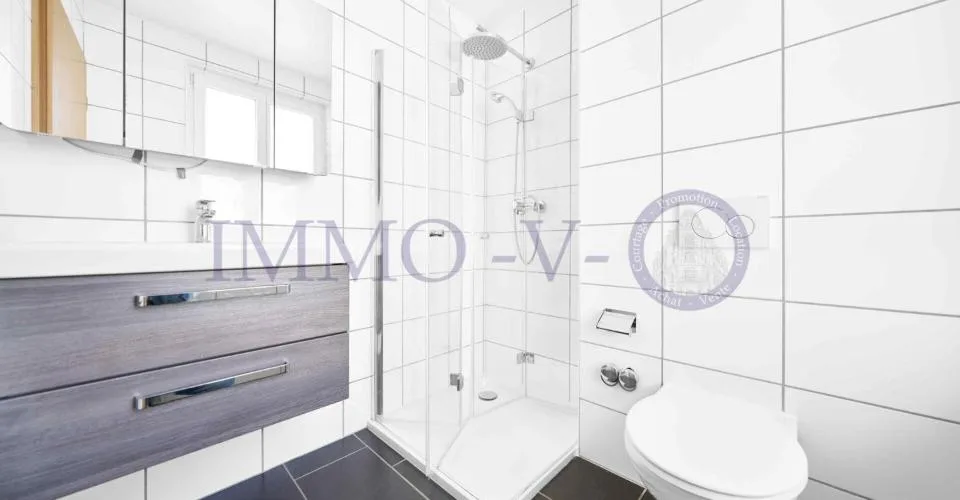 SPACIEUX ET LUMINEUX AVEC GRAND BALCON-TERRASSE DE 60M2 ET VUE LAC