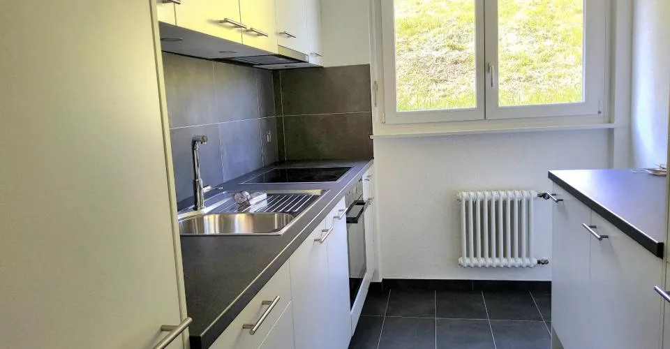 Charmant appartement de 3.5 pièces rénové en 2025 – Proche du lac
