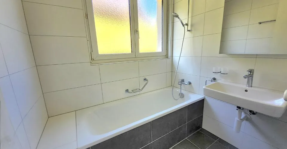 Charmant appartement de 3.5 pièces rénové en 2025 – Proche du lac