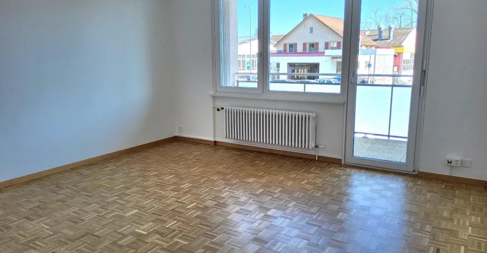 Charmant appartement de 3.5 pièces rénové en 2025 – Proche du lac
