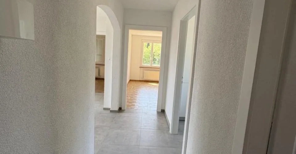 Appartement de 3 pièces entièrement rénové