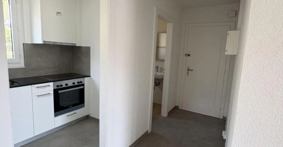Appartement de 3 pièces entièrement rénové