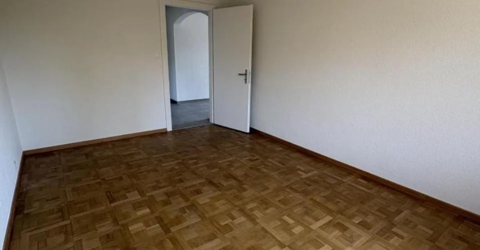 Appartement de 3 pièces entièrement rénové