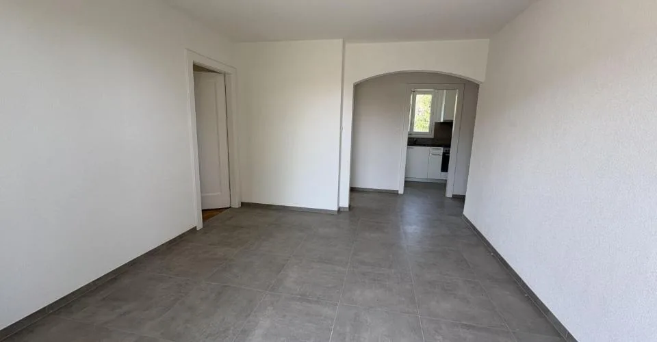 Appartement de 3 pièces entièrement rénové
