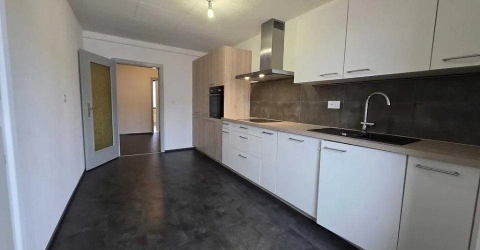 SPACIEUX LOGEMENT AVEC CHEMINÉE