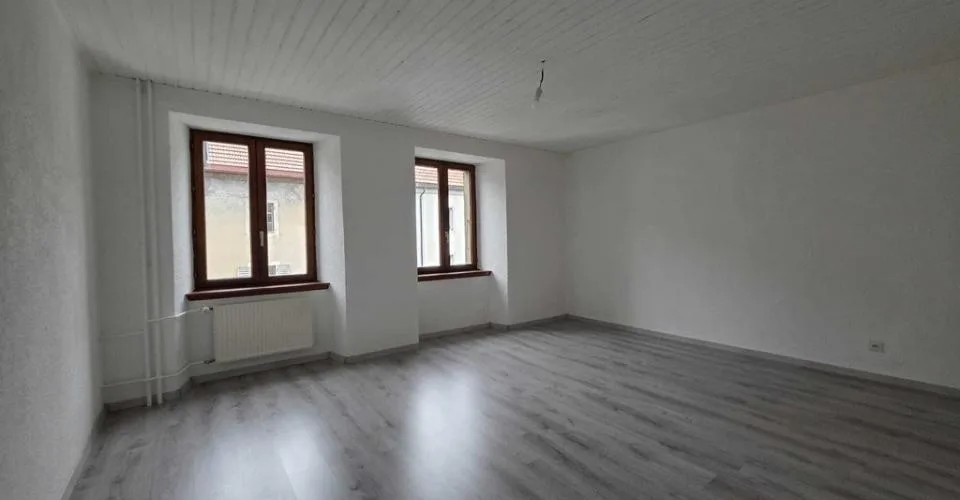 SPACIEUX LOGEMENT AVEC CHEMINÉE