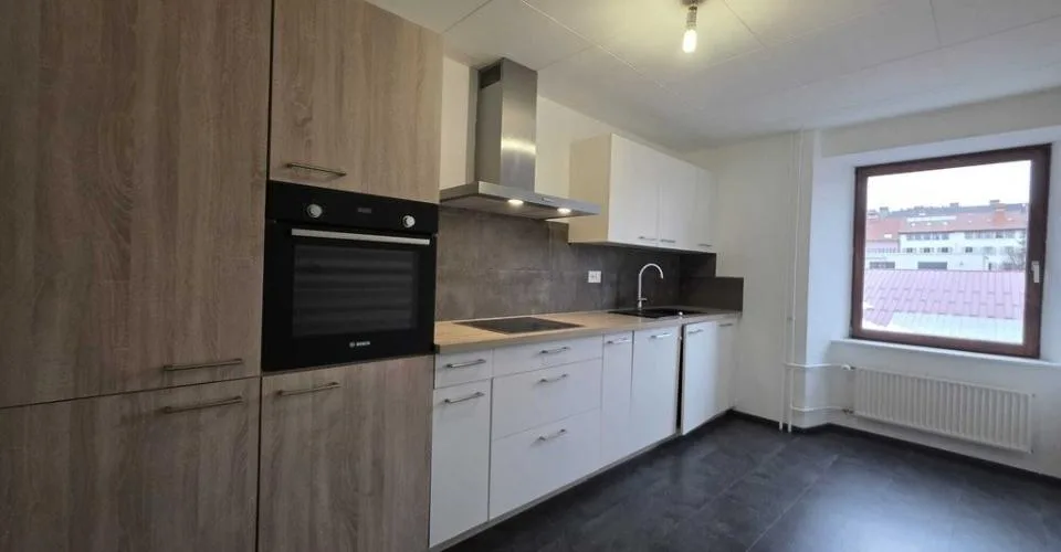 SPACIEUX LOGEMENT AVEC CHEMINÉE