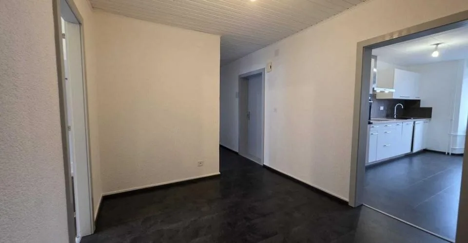 SPACIEUX LOGEMENT AVEC CHEMINÉE