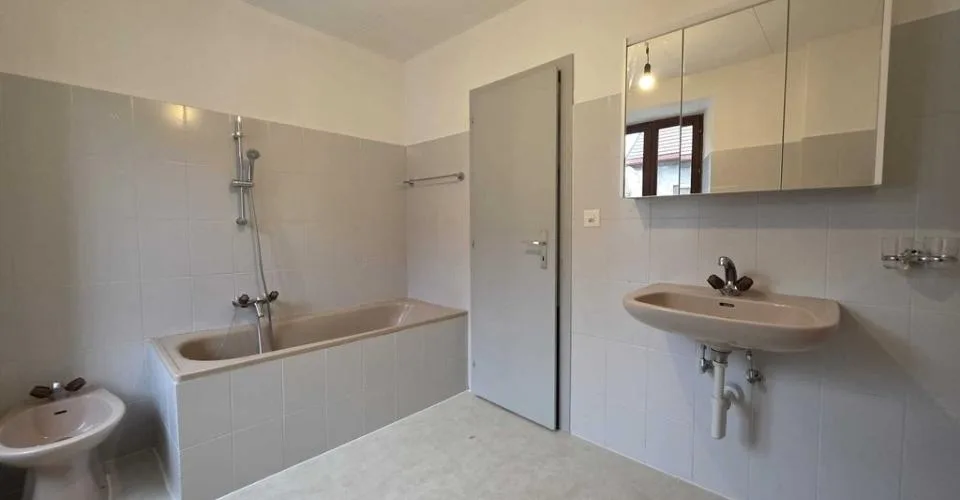 SPACIEUX LOGEMENT AVEC CHEMINÉE