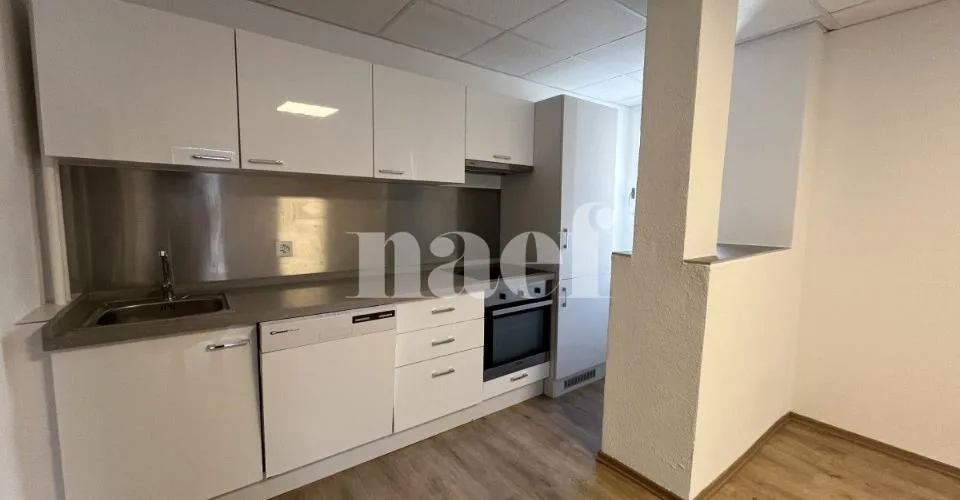 Vaste studio rénové au centre-ville