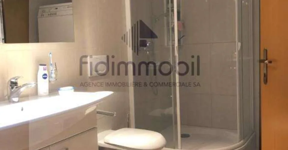 Magnifique appartement avec belle terrasse au centre ville