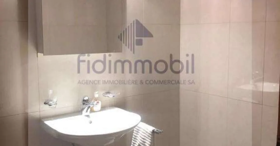 Magnifique appartement avec belle terrasse au centre ville